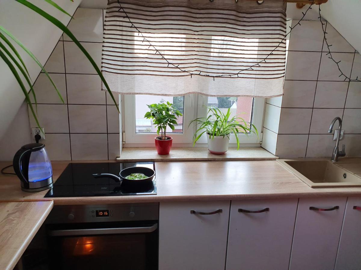 Hostel Mleczna - Metro Zacisze 华沙 外观 照片